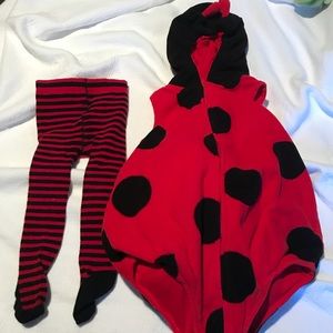 Ladybug costume